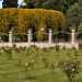 Villa La Rocca nasconde, nel cuore del grandissimo parco in cui  immersa, uno splendido giardino delle rose in cui trovano posto oltre 350 specie di questo fiore di ogni forma e profumo